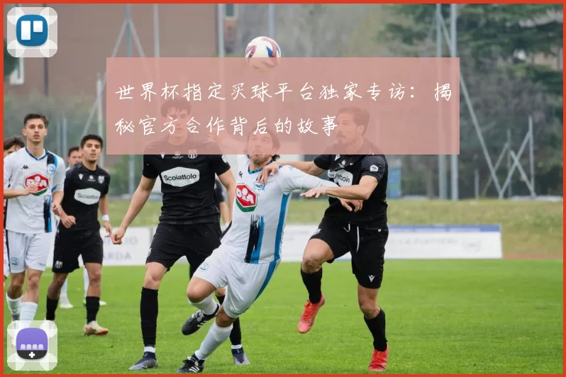 世界杯指定买球平台独家专访：揭秘官方合作背后的故事