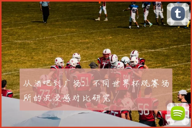 从酒吧到广场：不同世界杯观赛场所的沉浸感对比研究