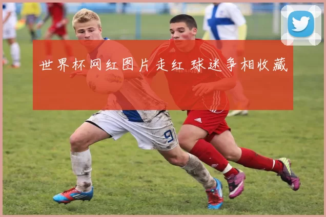 世界杯网红图片走红 球迷争相收藏