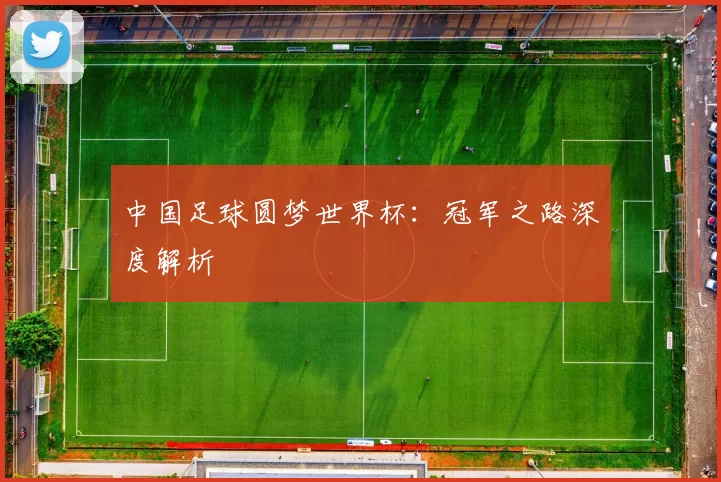 中国足球圆梦世界杯：冠军之路深度解析