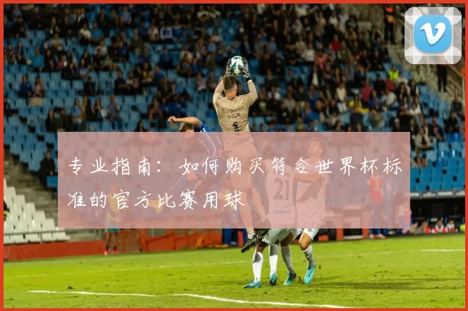 专业指南:如何购买符合世界杯标准的官方比赛用球