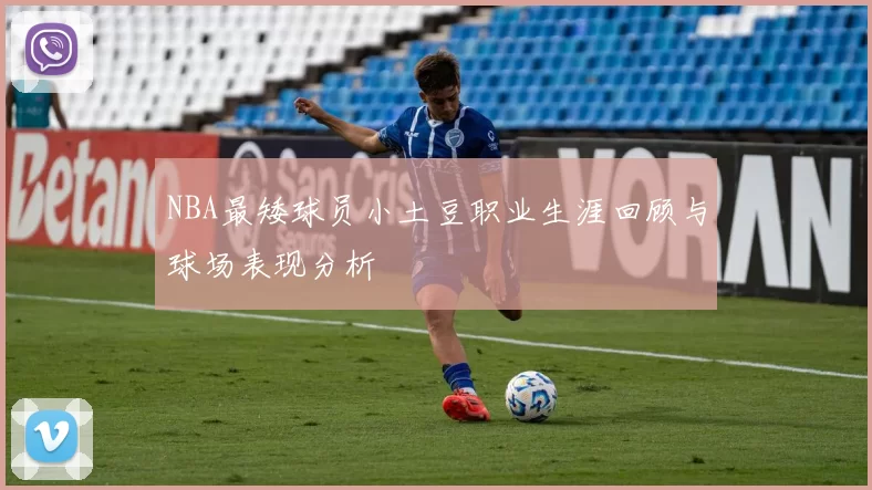 NBA最矮球员小土豆职业生涯回顾与球场表现分析
