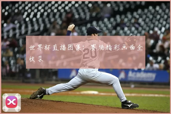 世界杯直播图集：赛场精彩画面全收录