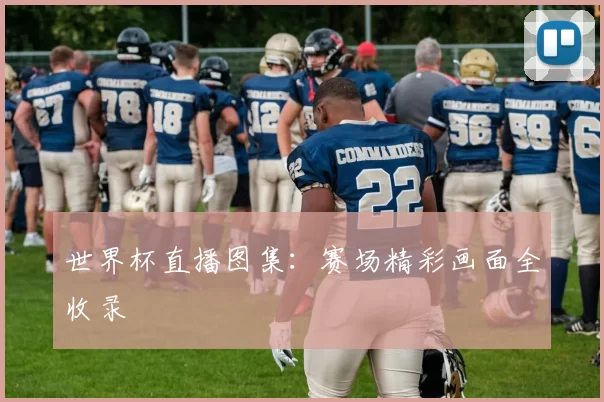 世界杯直播图集：赛场精彩画面全收录